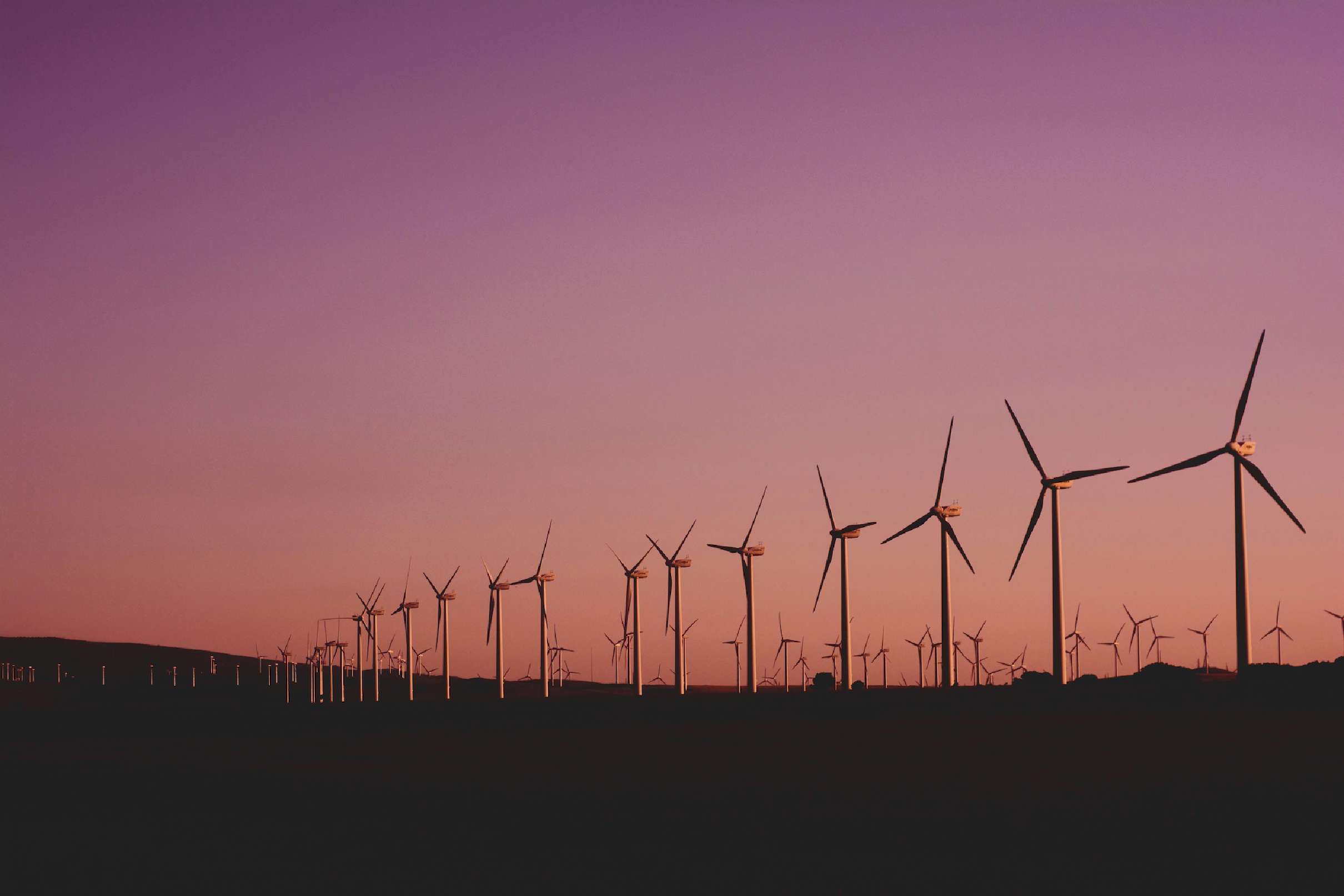 Windmills during golden hour